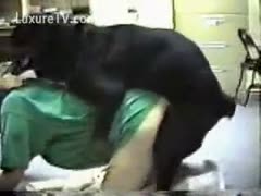 Huge Rottweiler pounds his gay owner 
